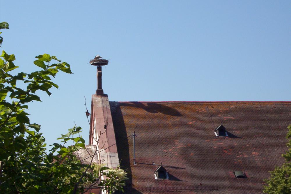 Evangelische Kirche Ihringen